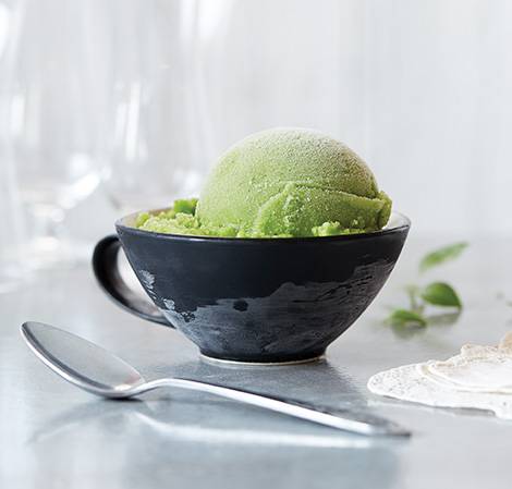 Vitamix Key Lime Ice Cream Recipe