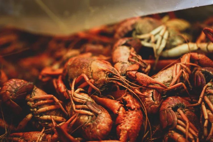 6 Important Tips To Know When You're Preparing Crawfish